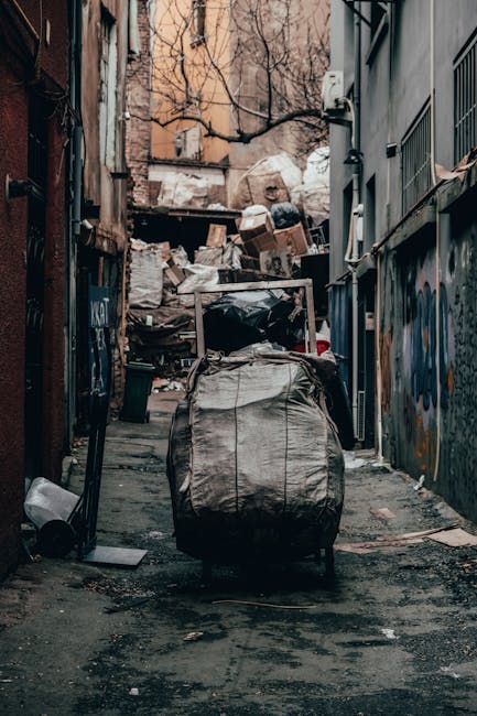 A narrow urban alleyway cluttered with accumulated waste and debris, featuring a large black rubbish bag in the foreground positioned on a wheeled trolley or cart. Behind it, numerous cardboard boxes, plastic bags, and loose rubbish are stacked against a plain brick wall covered with graffiti and graffiti murals. To the right, a dark grey building with barred windows and a metal fire escape is visible, while the left side shows a weathered, aging wall with signs of peeling paint and grime. The ground is uneven and stained with dark patches, hinting at recent rubbish collection or clearance activities. Sparse, leafless tree branches extend into the frame from the background, with muted natural lighting suggesting an overcast day. The scene appears to be part of an independent waste management effort, characteristic of private rubbish removal services often used for on-site clearance of waste in urban environments, aligning with alternative rubbish removal options often discussed on Shepherds Bush rubbish removal prices explanation pages.
