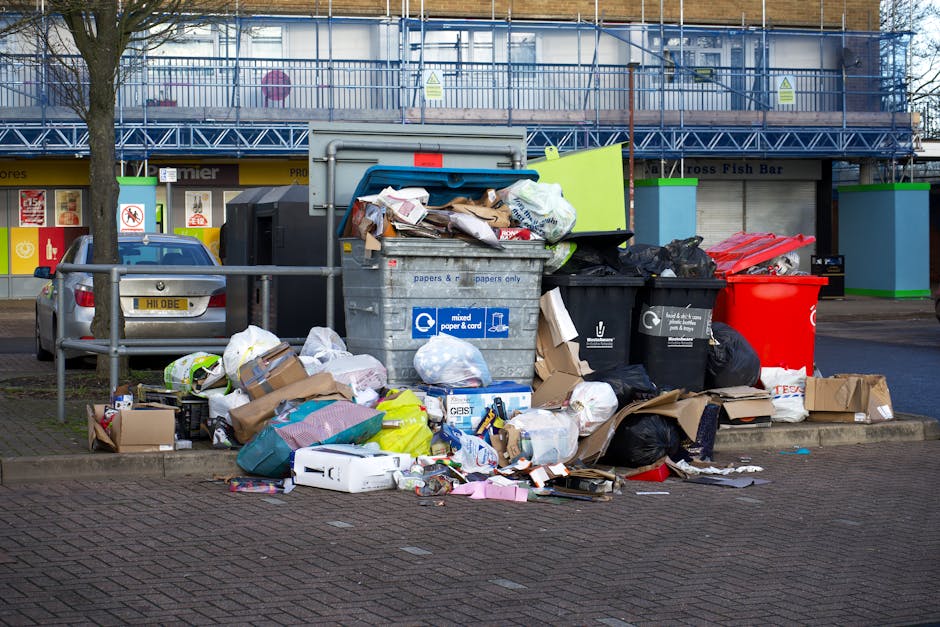 A narrow urban alleyway cluttered with accumulated waste and debris, featuring a large black rubbish bag in the foreground positioned on a wheeled trolley or cart. Behind it, numerous cardboard boxes, plastic bags, and loose rubbish are stacked against a plain brick wall covered with graffiti and graffiti murals. To the right, a dark grey building with barred windows and a metal fire escape is visible, while the left side shows a weathered, aging wall with signs of peeling paint and grime. The ground is uneven and stained with dark patches, hinting at recent rubbish collection or clearance activities. Sparse, leafless tree branches extend into the frame from the background, with muted natural lighting suggesting an overcast day. The scene appears to be part of an independent waste management effort, characteristic of private rubbish removal services often used for on-site clearance of waste in urban environments, aligning with alternative rubbish removal options often discussed on Shepherds Bush rubbish removal prices explanation pages.